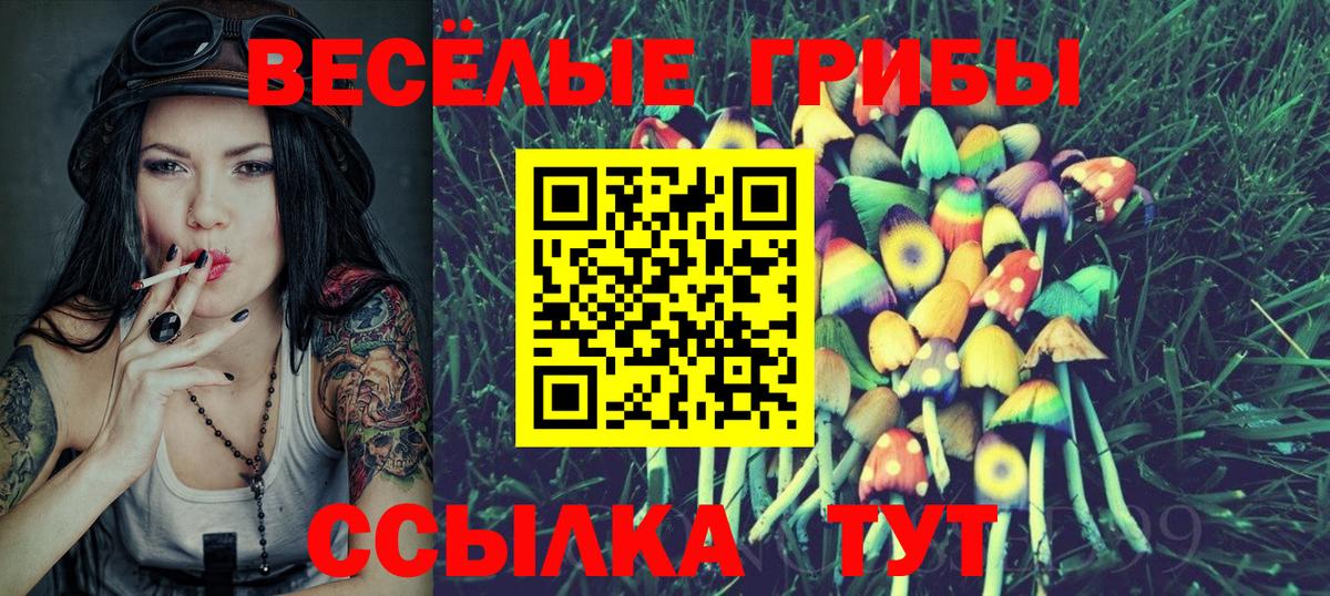 Галлюциногенные грибы GOLDEN TEACHER  Вход с VPN  Норильск 